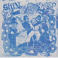 Skin Deep - A Blast From The Past 12" LP + Poster NEW Skin Deep - A Blast From The Past 12" LP + Poster NEW